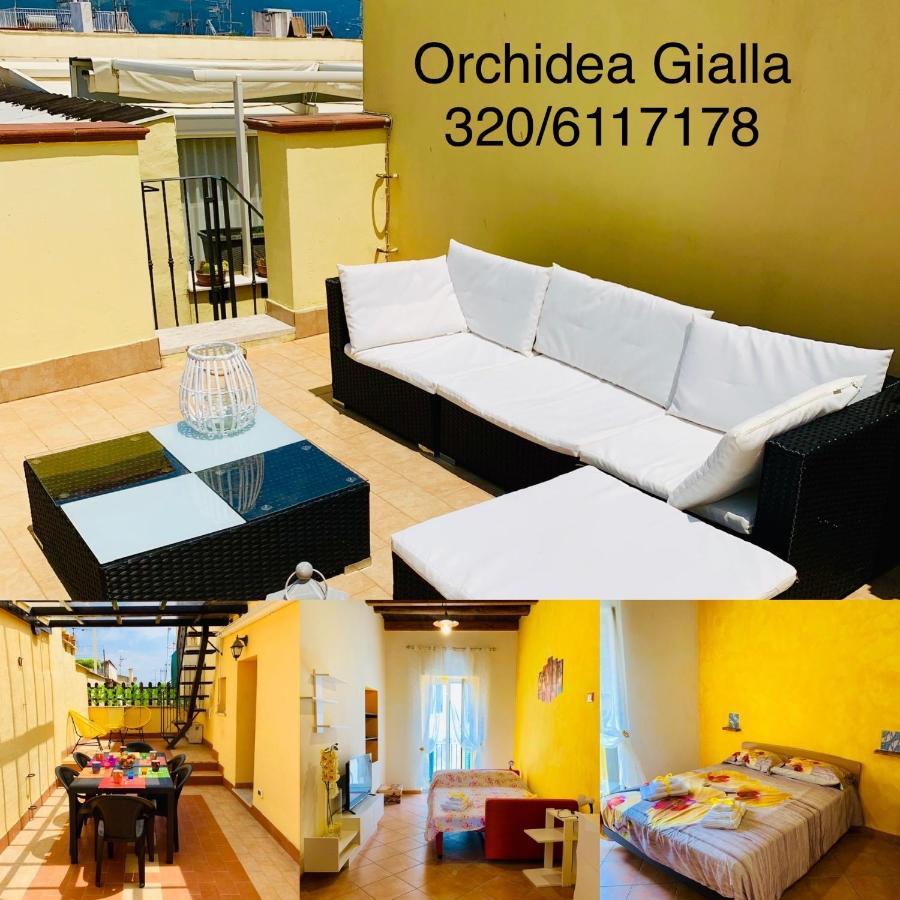 Orchidea Gialla Gaeta Exterior foto