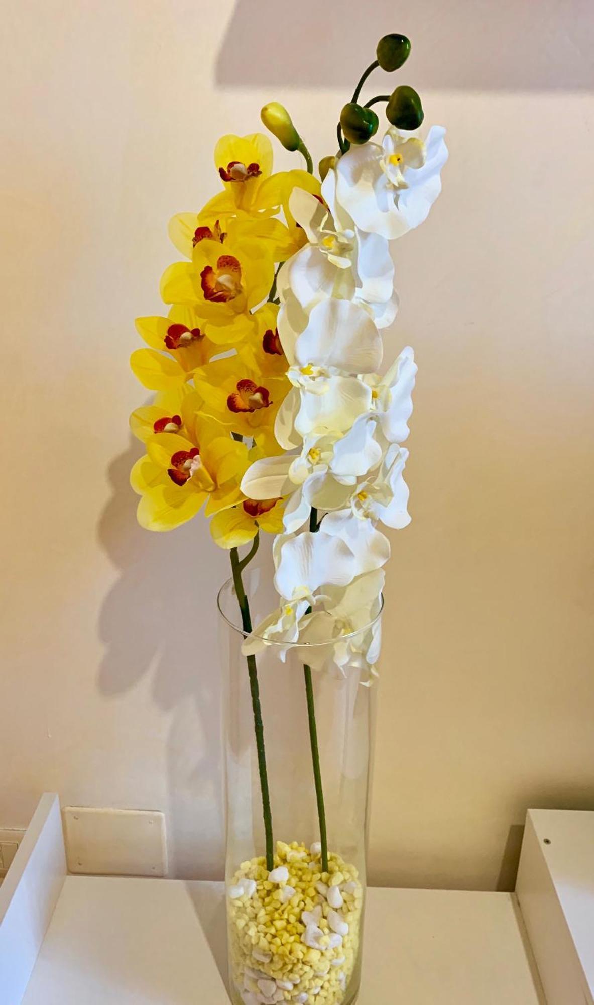 Orchidea Gialla Gaeta Exterior foto